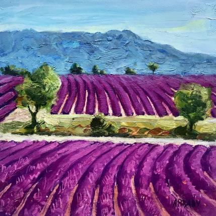 Peinture Les champs de lavande au pied de la Sainte-victoire par Arkady | Tableau Figuratif Huile