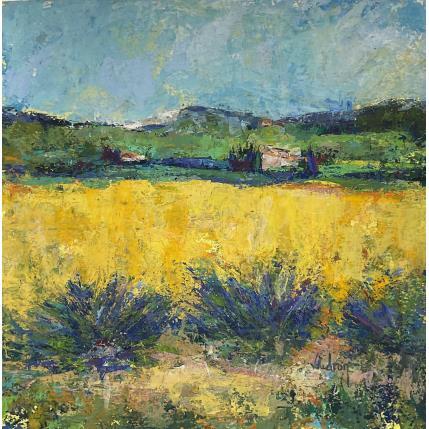 Peinture Les grands champs à Lourmarin par Vaudron | Tableau Figuratif