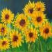 Pintura Tournesols por Shahine | Pintura Figurativo Aceite