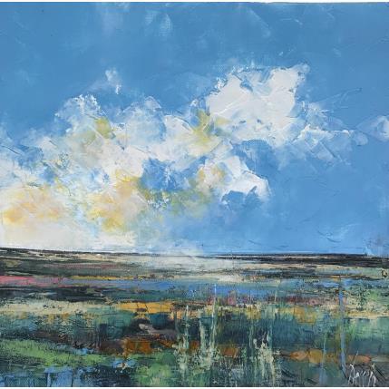 Peinture Marquenterre par Dessein Pierre | Tableau Figuratif Huile Marine