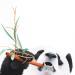 Painting I SEE YOU 75 by Milie Lairie | Painting Realism Animals Oil