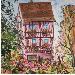 Gemälde PINK HOUSE IN COLMAR von Rasa | Gemälde Figurativ Urban Acryl