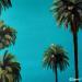 Painting PALM AVENUE by Clavaud Morgane | Painting Figurative Landscapes Acrylic