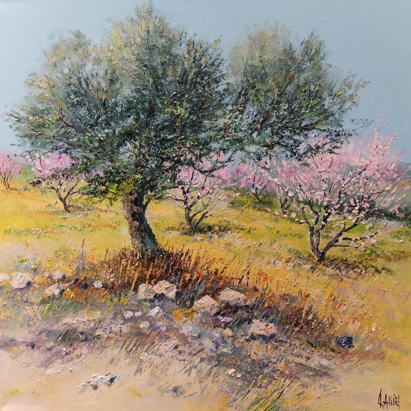 Peinture Oliviers et pêchers en fleurs par Sannier Daniel | Tableau Impressionnisme Paysages Huile