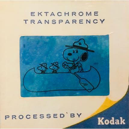 Peinture Snoopy canoé diapo par Kikayou | Tableau Pop-art Acrylique, Collage, Graffiti