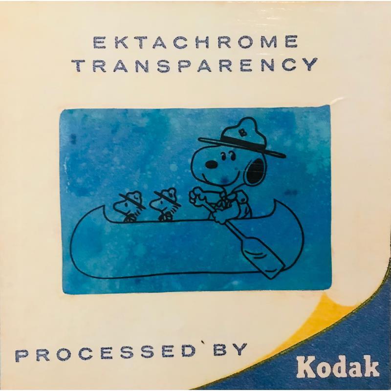 Peinture Snoopy canoé diapo par Kikayou | Tableau Pop-art Graffiti Acrylique Collage