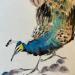 Painting Peacock by Yu Huan Huan | Painting Figurative Animals Watercolor Ink