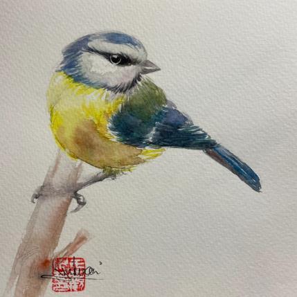 Gemälde Blue Tit Bird von Yu Huan Huan | Gemälde Figurativ Aquarell, Tinte Tiere