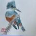 Painting Kingfisher by Yu Huan Huan | Painting Figurative Watercolor Ink