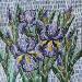 Painting Iris  by Dmitrieva Daria | Painting Impressionism Nature Acrylic