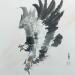 Painting Eagle by Du Mingxuan | Painting Figurative Animals Watercolor Ink