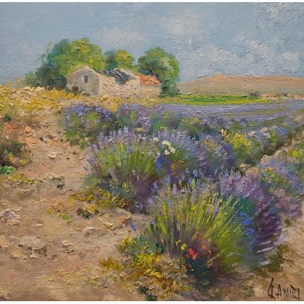 Peinture Le vieux cabanon par Sannier Daniel | Tableau Impressionnisme Huile Paysages