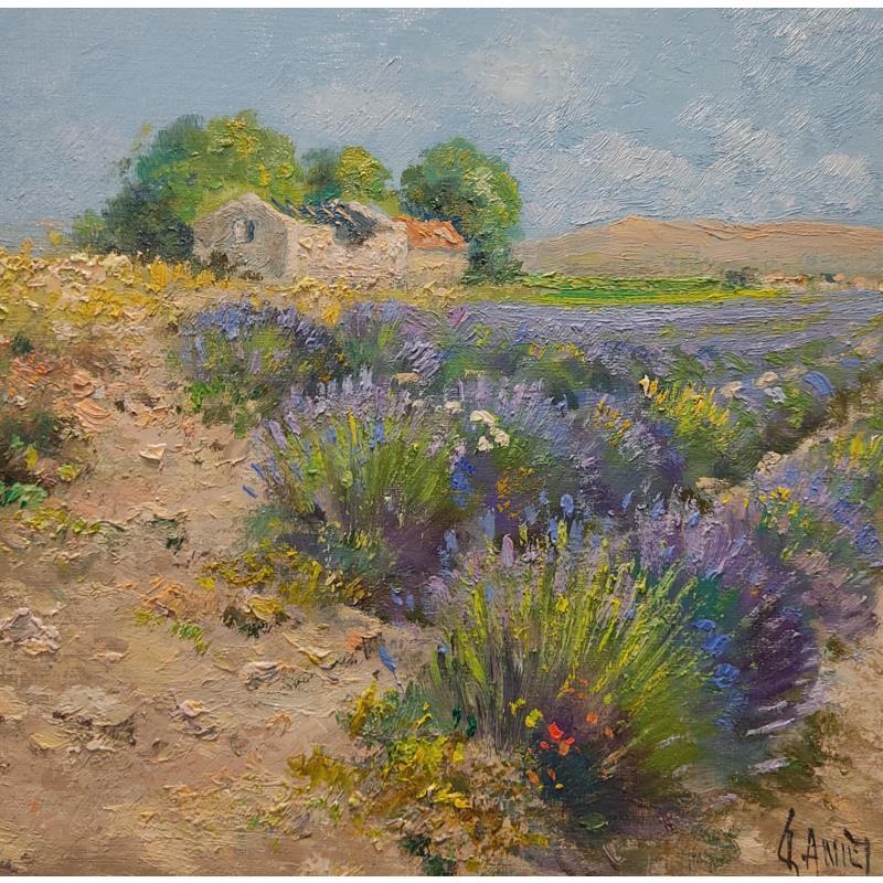 Gemälde Le vieux cabanon von Sannier Daniel | Gemälde Impressionismus Landschaften Öl