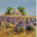 Peinture Le vieux cabanon dans les lavandes par Sannier Daniel | Tableau Impressionnisme Paysages Huile