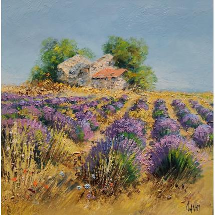 Peinture Le vieux cabanon dans les lavandes par Sannier Daniel | Tableau Impressionnisme Huile Paysages
