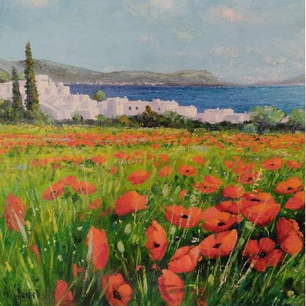 Peinture Coquelicots à Paros par Sannier Daniel | Tableau Impressionnisme Huile Paysages