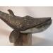 Sculpture Baleine by Roche Clarisse | Sculpture