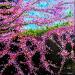Painting Petites fleurs de cerisier by Amblard Florence | Painting Impressionism Nature Acrylic