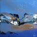 Painting C3426 by Naen | Painting Abstract Landscapes Acrylic Ink