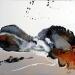 Painting C3459 by Naen | Painting Abstract Landscapes Acrylic Ink