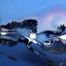 Painting C3589 by Naen | Painting Abstract Landscapes Acrylic Ink