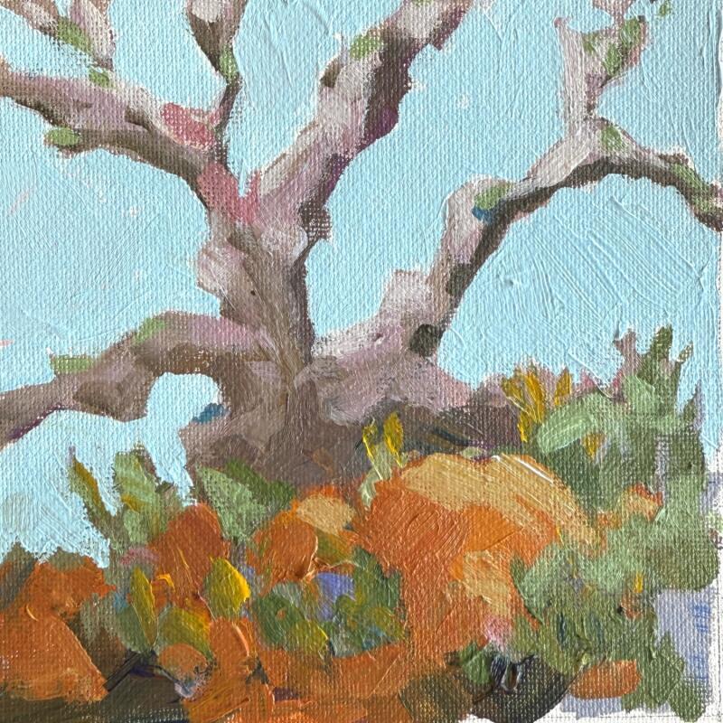 Painting Oak Creek Sycamore by Carrillo Cindy  | Painting Figurative Landscapes Oil
