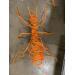 Sculpture Fourmi M Orange by Eres Nicolas | Sculpture Figurative Animals