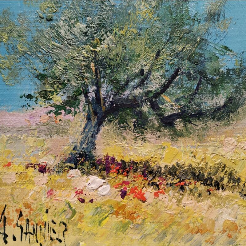 Pintura Olivier en Grèce por Sannier Daniel | Pintura Impressionism Paisajes Aceite