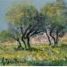 Pintura oliviers fleurs jaunes por Sannier Daniel | Pintura Impressionism Paisajes Aceite