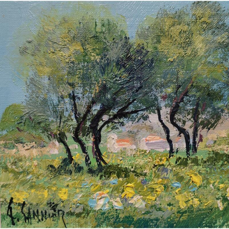 Pintura oliviers fleurs jaunes por Sannier Daniel | Pintura Impressionism Paisajes Aceite