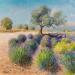 Peinture Lavandes et oliviers par Sannier Daniel | Tableau Impressionnisme Paysages Huile