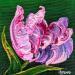 Gemälde Tulipe rose  von Amblard Florence | Gemälde Impressionismus Natur Acryl