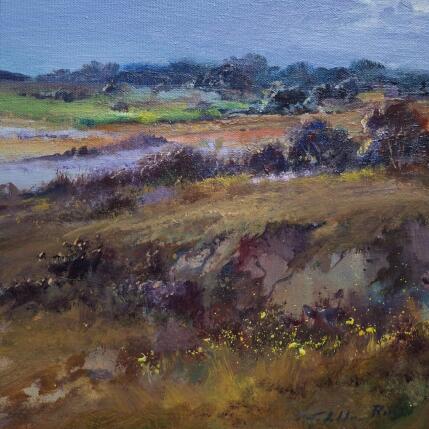 Peinture Tarde Lluviosa par Cabello Ruiz Jose | Tableau Figuratif Huile Paysages