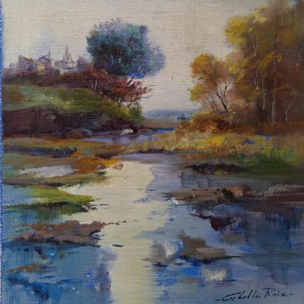 Pintura Visión del paisaje por Cabello Ruiz Jose | Pintura Figurativo Aceite Paisajes