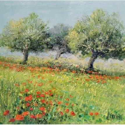 Painting coquelicots et oliviers by Sannier Daniel | Painting Impressionism Oil Landscapes