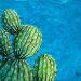 Peinture CACTUS AZUL par Geiry | Tableau Matiérisme Nature Pigments Poudre de marbre