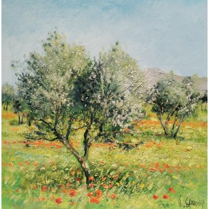 Painting Oliviers et Coquelicots 1 by Sannier Daniel | Painting Impressionism Oil Landscapes