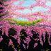 Painting Fleurs de cerisier by Amblard Florence | Painting Impressionism Nature Acrylic