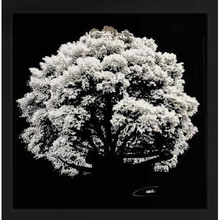 Painting Arbre by Maitre YA | Painting