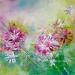 Peinture Fleurettes par Levesque Emmanuelle | Tableau Huile
