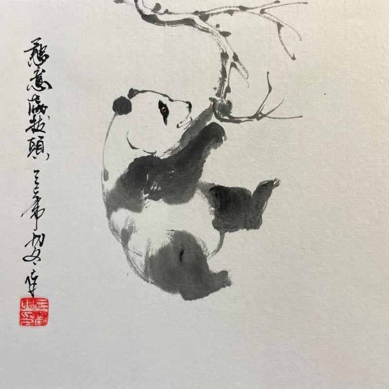 Peinture Panda par Yu Huan Huan | Tableau Figuratif Animaux Encre