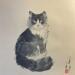 Pintura Cat 1 por Yu Huan Huan | Pintura Figurativo Animales Ink