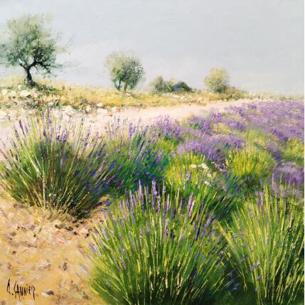 Peinture lavande chemin blanc par Sannier Daniel | Tableau Impressionnisme Huile Paysages