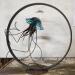 Sculpture Meduse L Aqua leche  by Eres Nicolas | Sculpture Figurative Animals Metal