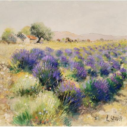 Painting Cabanon, lavandes by Sannier Daniel | Painting Impressionism Oil Landscapes
