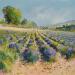 Peinture Lavandes dans la Drôme par Sannier Daniel | Tableau Impressionnisme Paysages Huile