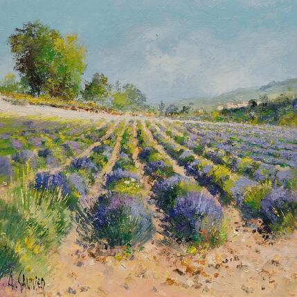 Peinture Lavandes dans la Drôme par Sannier Daniel | Tableau Impressionnisme Huile Paysages