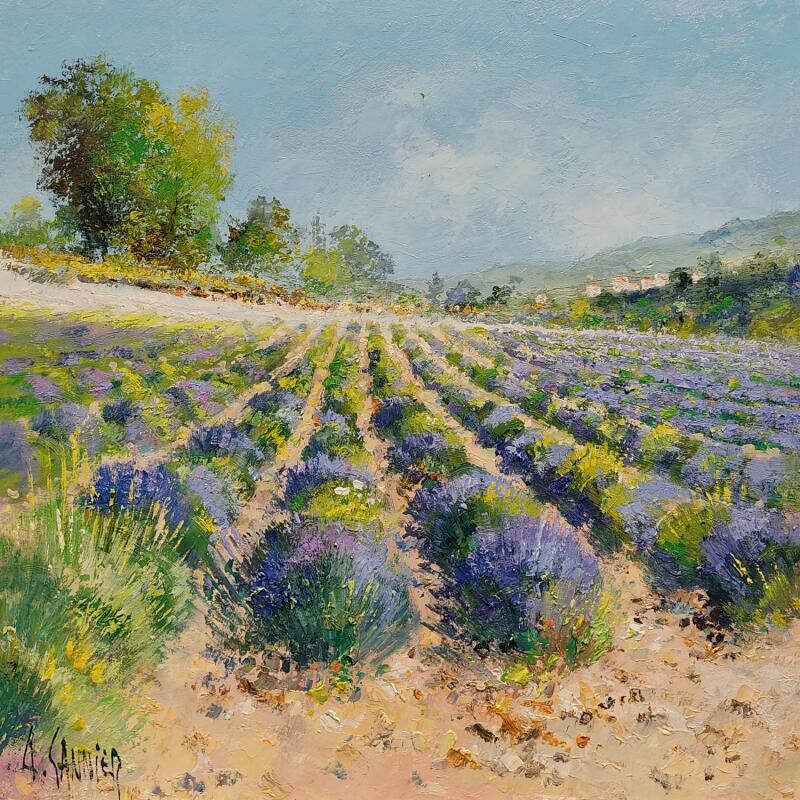 Peinture Lavandes dans la Drôme par Sannier Daniel | Tableau Impressionnisme Paysages Huile