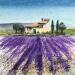 Peinture Lavande provençale  par Hoffmann Elisabeth | Tableau Figuratif Urbain Aquarelle