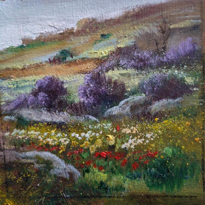 Pintura Campo florido por Cabello Ruiz Jose | Pintura Figurativo Aceite